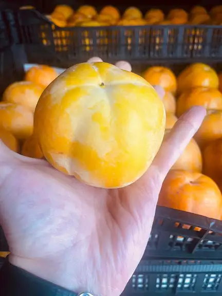 Хурма круглая без косточки